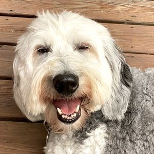 Meet your Posher, Kim